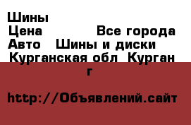 Шины bridgestone potenza s 2 › Цена ­ 3 000 - Все города Авто » Шины и диски   . Курганская обл.,Курган г.